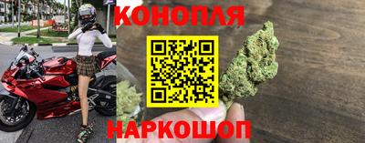 индика Кулебаки