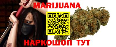 индика Кулебаки
