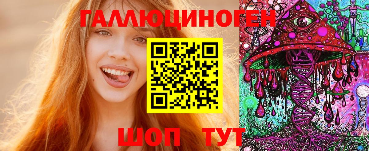 Галлюциногенные грибы Psilocybine cubensis Борисоглебск
