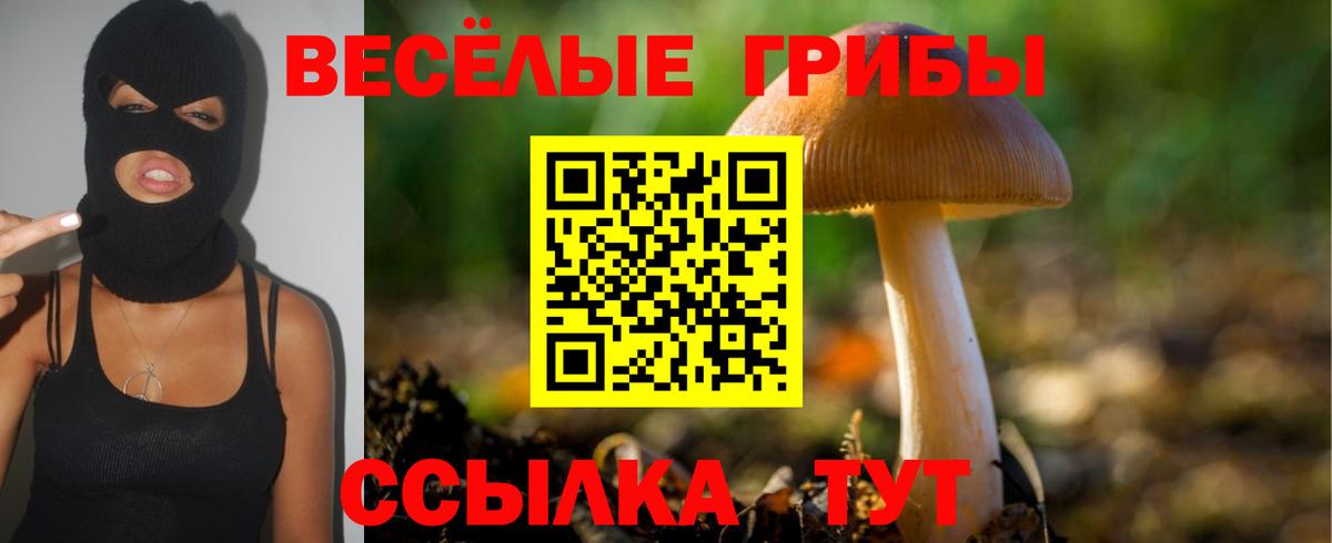 Псилоцибиновые грибы Magic Shrooms  Галлюциногенные грибы MAGIC MUSHROOMS  Борисоглебск  Вход с VPN 